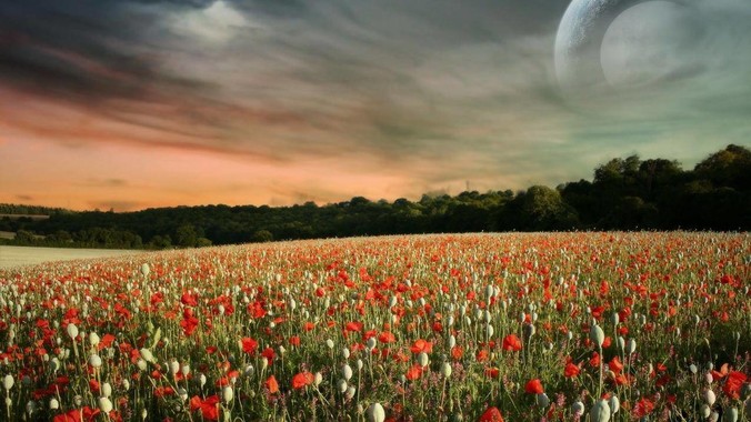 QQ为什么败给微信？